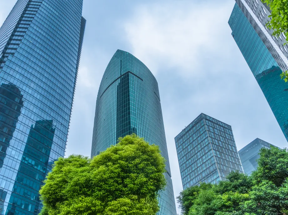 経歴のイメージ画像