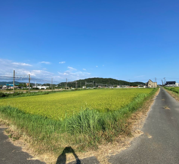 【田畑の処分】